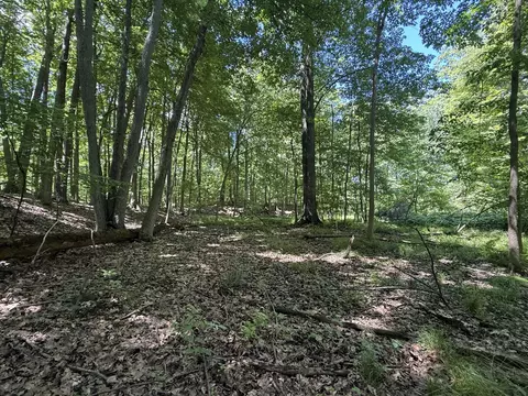 Exterior - Hagerman Road, Leonard, MI 48367 photo 2 of 11