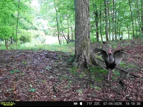 Other - Hagerman Road, Leonard, MI 48367 photo 30 of 31