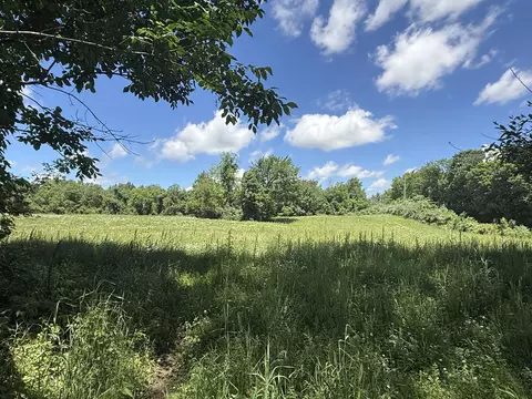 Other - Hagerman Road, Leonard, MI 48367 photo 6 of 31