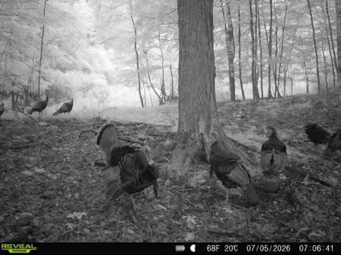 Other - Hagerman Road, Leonard, MI 48367 photo 31 of 31