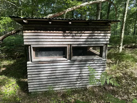 802 Beaver Rd, Bitely, MI 49309 photo 9