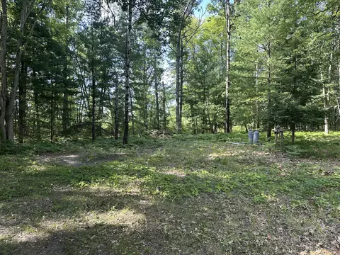 802 Beaver Rd, Bitely, MI 49309 photo 3