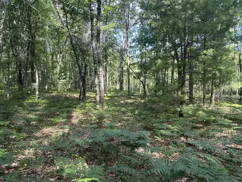 802 Beaver Rd, Bitely, MI 49309 photo 5