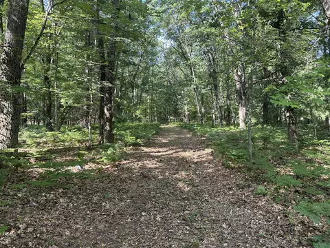 802 Beaver Rd, Bitely, MI 49309 photo 4