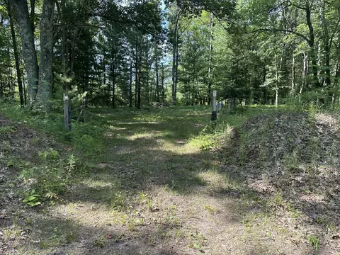 802 Beaver Rd, Bitely, MI 49309 photo 1