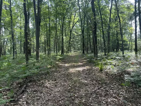 802 Beaver Rd, Bitely, MI 49309 photo 12