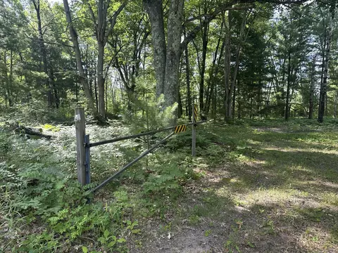 802 Beaver Rd, Bitely, MI 49309 photo 2