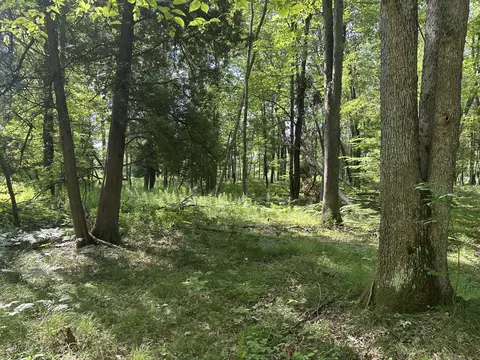 802 Beaver Rd, Bitely, MI 49309 photo 7