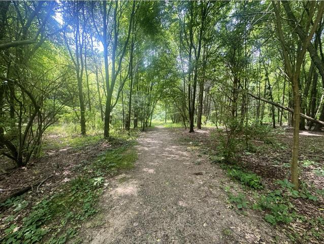 7705 Youngman Rd, Greenville, MI 48838