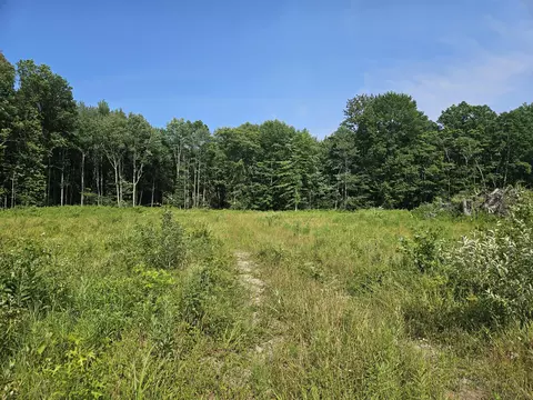 V/l 54th Street, Fennville, MI 49408