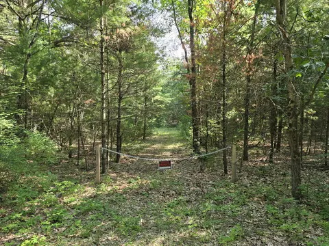 Vl E Michland Path, White Cloud, MI 49349 photo 1