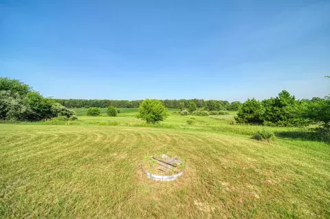 Exterior - 11329 Rosemary Ln, Munith, MI 49259 photo 15 of 26