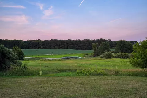 View/Area - 11329 Rosemary Ln, Munith, MI 49259 photo 2 of 2
