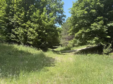 3475 Grace Rd, Frankfort, MI 49635