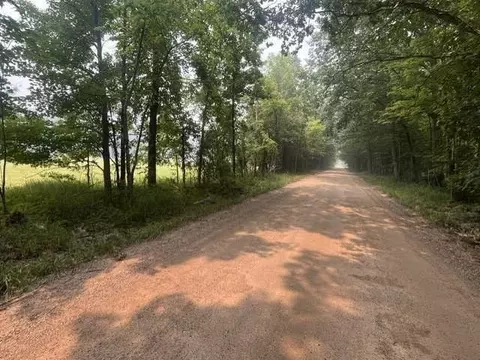 06558 37th St, Gobles, MI 49055 photo 12