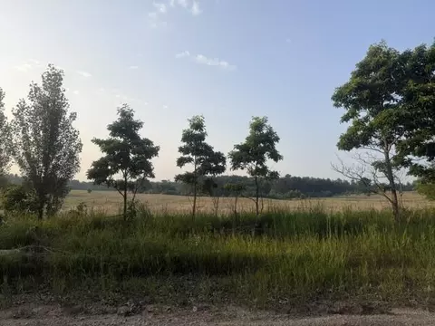 6443 E 4th St, White Cloud, MI 49349 photo 3