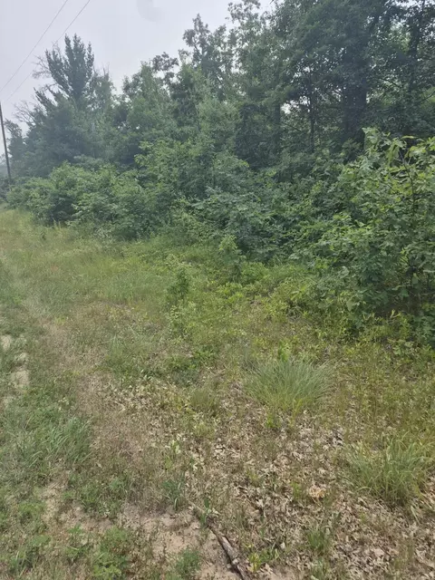W Foreman Road, Baldwin, MI 49304 photo 3
