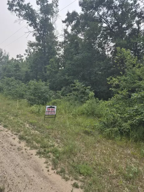 W Foreman Road, Baldwin, MI 49304 photo 4