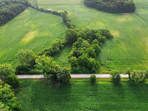 Gramlich Road, Maybee, MI 48159 photo 8