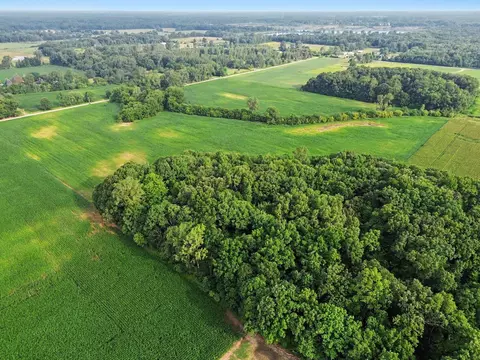 Gramlich Road, Maybee, MI 48159 photo 11