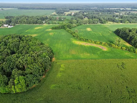 Gramlich Road, Maybee, MI 48159 photo 3