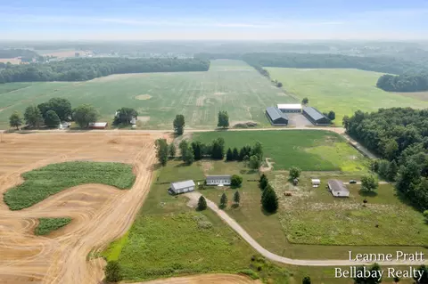 10130 Stahl Rd, Lake Odessa, MI 48849