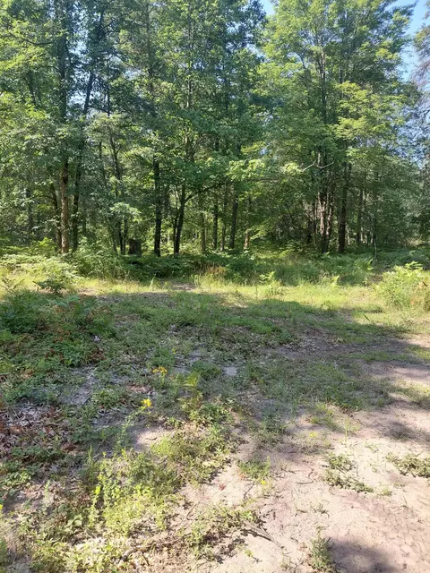 2807 Evergreen Dr #PAR C, White Cloud, MI 49349