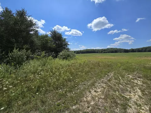 Leckrone Road, Brethren, MI 49619 photo 2