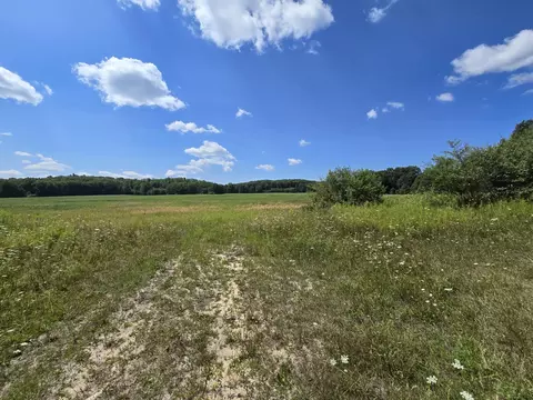 Leckrone Road, Brethren, MI 49619 photo 3