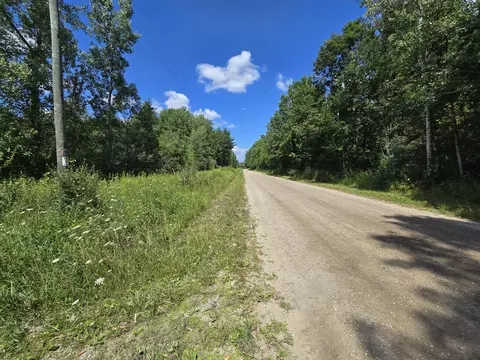 Leckrone Road, Brethren, MI 49619 photo 6