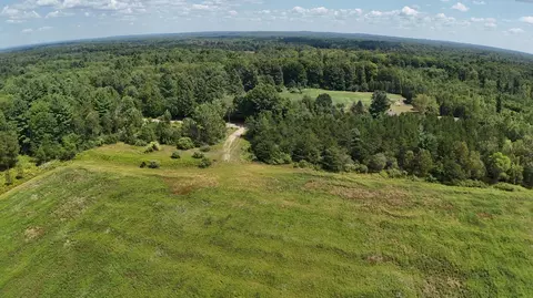 Leckrone Road, Brethren, MI 49619 photo 8