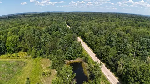 Leckrone Road, Brethren, MI 49619 photo 7