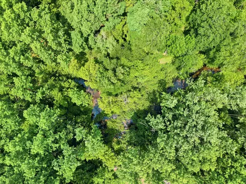 View/Area - 198 Mill, Blanchard, MI 49310 photo 2 of 9