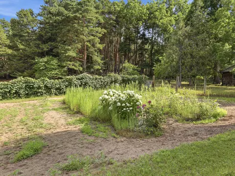 Exterior - 198 Mill, Blanchard, MI 49310 photo 17 of 20