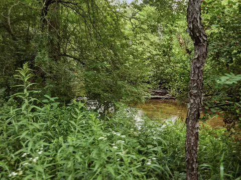 View/Area - 198 Mill, Blanchard, MI 49310 photo 1 of 9
