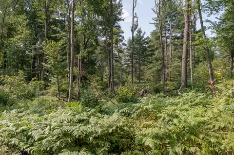 Other - 3820 N Beech Ave, White Cloud, MI 49349 photo 16 of 16