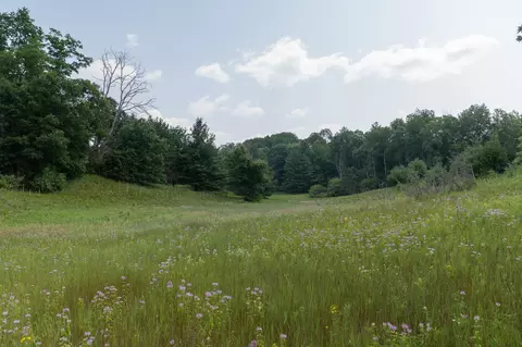 Other - 3820 N Beech Ave, White Cloud, MI 49349 photo 6 of 16
