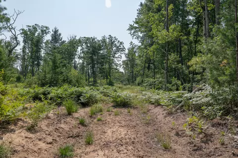 Other - 3820 N Beech Ave, White Cloud, MI 49349 photo 15 of 16