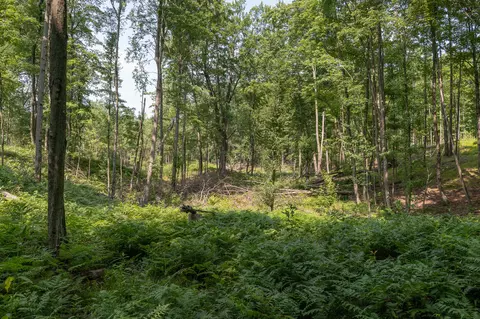 Other - 3820 N Beech Ave, White Cloud, MI 49349 photo 13 of 16
