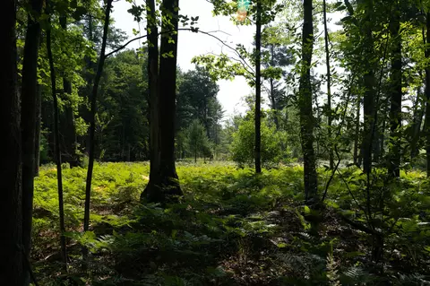 Other - 3820 N Beech Ave, White Cloud, MI 49349 photo 8 of 16