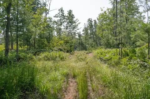 Other - 3820 N Beech Ave, White Cloud, MI 49349 photo 12 of 16