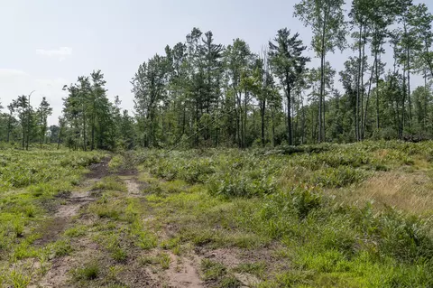 Other - 3820 N Beech Ave, White Cloud, MI 49349 photo 10 of 16