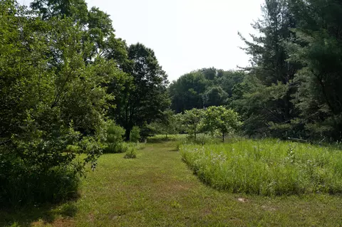 Exterior - 3820 N Beech Ave, White Cloud, MI 49349 photo 6 of 8