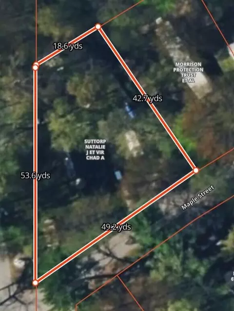 View/Area - 5809 Maple St, Newaygo, MI 49337 photo 9 of 11