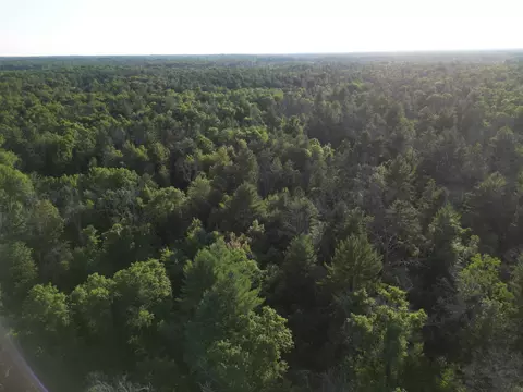 View/Area - Michael Drive, Alger, MI 48610 photo 1 of 2