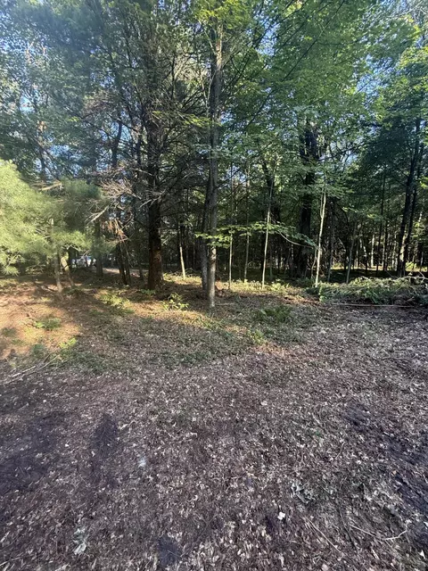 Exterior - Michael Drive, Alger, MI 48610 photo 16 of 17