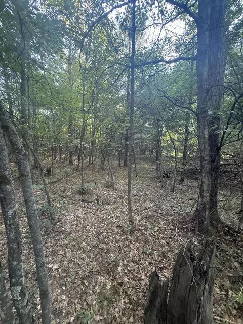 Other - Michael Drive, Alger, MI 48610 photo 6 of 10