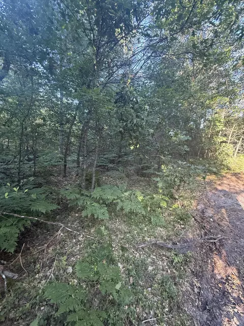 Other - Michael Drive, Alger, MI 48610 photo 8 of 10