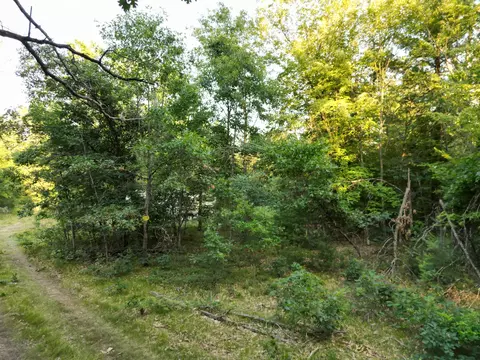 Exterior - Michael Drive, Alger, MI 48610 photo 9 of 17