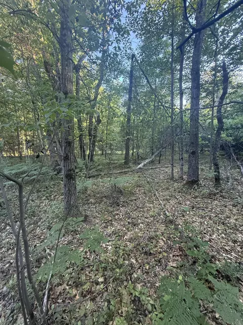 Other - Michael Drive, Alger, MI 48610 photo 7 of 10